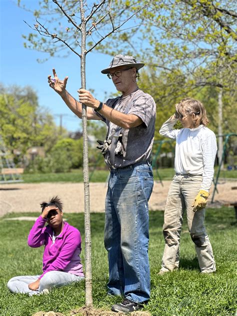 Fairfax Elementary Tree Planting — Heights Tree People