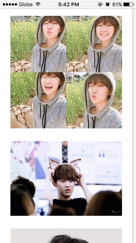 SEVENTEEN HOSHI LOOKALIKE Carat 캐럿 Amino