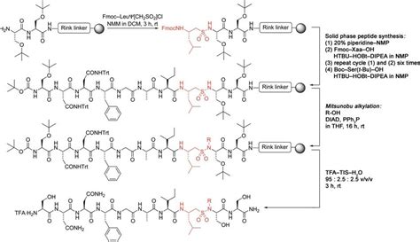 Scheme 1 Solid Phase Synthesis Of The Amylin 20 29 Derivatives