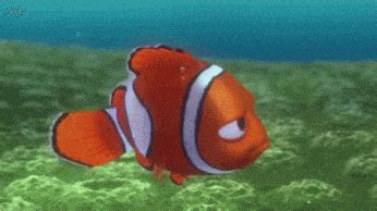 Nemo Gif - IceGif