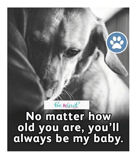 New Puppy Puppy Love Dog Poems Dog Quotes Love Dog Best Friend War