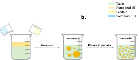 Optimal Ultrasonication Process Time Remains Constant For A Specific