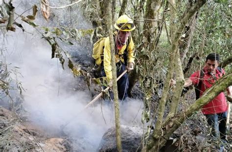 Siguen Activos 4 Incendios Forestales En Veracruz E Veracruz Mx