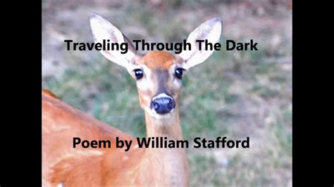 Traveling Through The Dark William Stafford Poem About Dead Deer