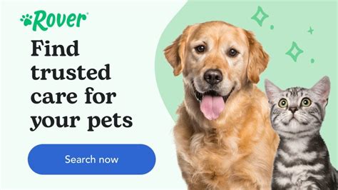 Bloat In Dogs Signs Causes And What To Expect From Treatment