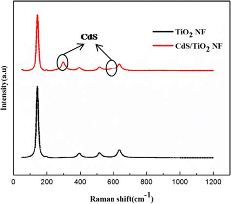 Raman Spectra Of Tio2 Nf And Cdstio2 Nf Download Scientific Diagram