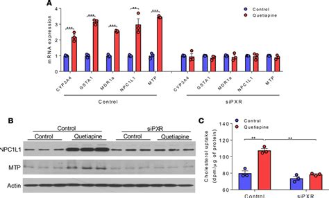 Quetiapine Mediated Pxr Activation Increases Npc1l1 And Mtp Expression Download Scientific