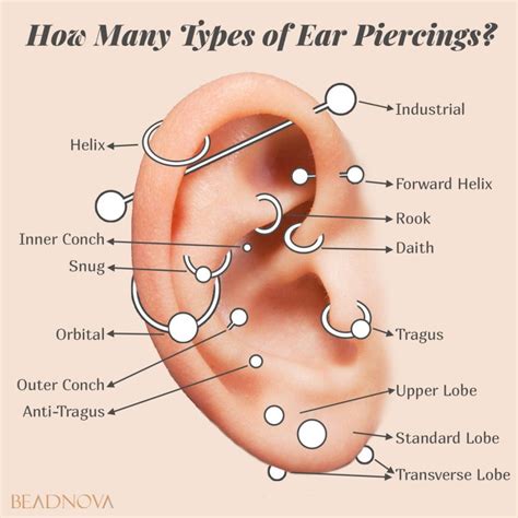 Popular Types Of Body Piercings Beadnova