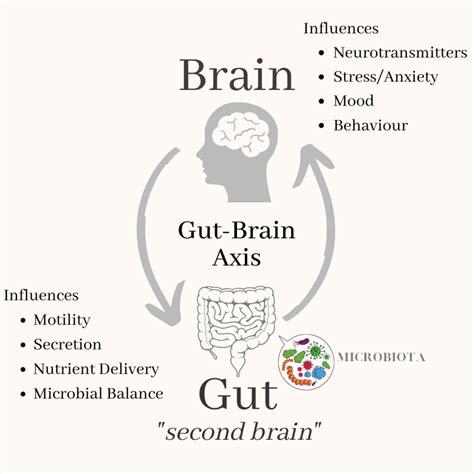 The Gut Brain Connection Integrated Health Solution