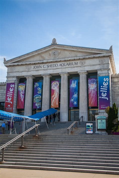 My Musings: Shedd Aquarium