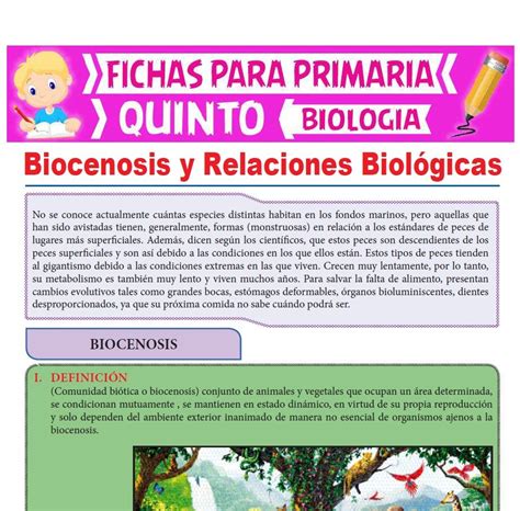 Actividades De Biolog A Para Quinto Grado De Primaria