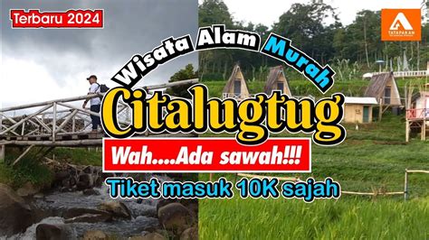 Wahh Wisata Alam Murah Sawah Dan Sungai Citalugtug Baros