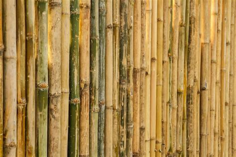 Premium Photo | Bamboo texture background