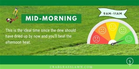 What Is The Best Time Of Day To Cut Your Grass Lawn Mowing Etiquette