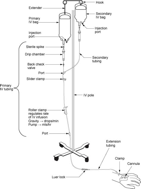 232 Iv Therapy Basics Medicine Libretexts