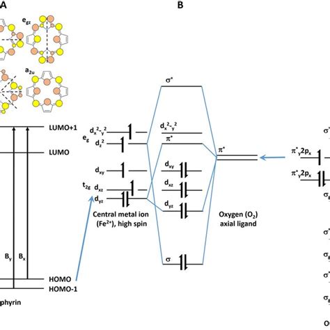 Schematic Diagram Of The Energy Levels Of Porphyrin Central Metal Atom