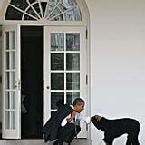 Pictures of Bo and Sunny Obama | POPSUGAR Pets