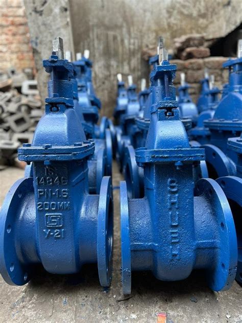 High Cast Iron Sluice Valve Flange At Rs In Jalandhar Id