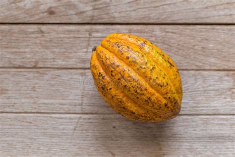 Cacao Fruit Raw Cacao Beans Cocoa Pod On Wooden Background Stock