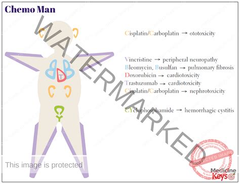 Chemo man - Medicine Keys for MRCPs