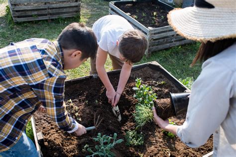 Métodos Orgánicos y Permacultura en Jardines Introducción a la