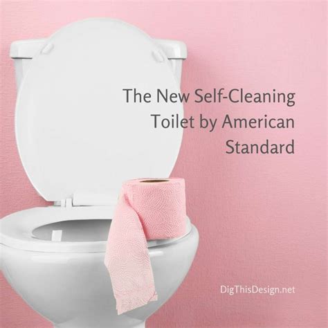 A Self-Cleaning Toilet; It's Even Better Than a Self-Driving Car! - Dig ...