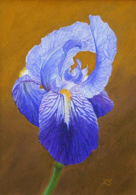 Purple Iris Painting By Xenia Sease Fine Art America