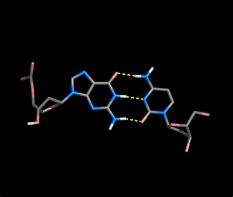 Base Pair For Dna