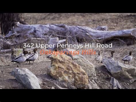 Upper Penneys Hill Road Onkaparinga Hills Youtube