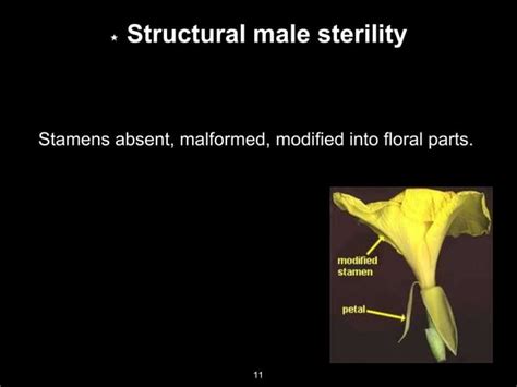 Male Sterility And Self Incompatibility In Crop Plants Ppt