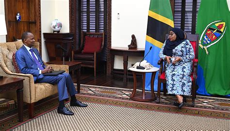 RAIS SAMIA SULUHU AKUTANA NA KUZUNGUMZA NA KATIBU MTENDAJI WA SADC