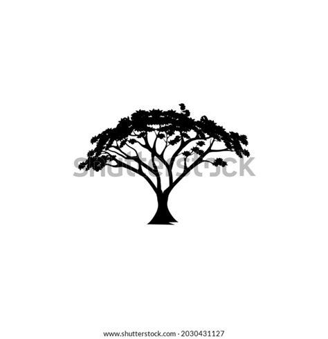 Acacia Tree Silhouette Vector Illustration Stock Vector Royalty Free