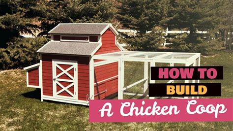 How To Build A Chicken Coop From Pallets Build A Chicken Coop Made