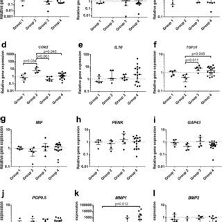 Relative Gene Expression Of Pro And Anti Inflammatory Factors And