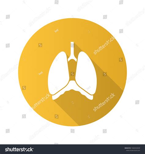 Thoracic Cavity Flat Design Long Shadow Stock Vector Royalty Free