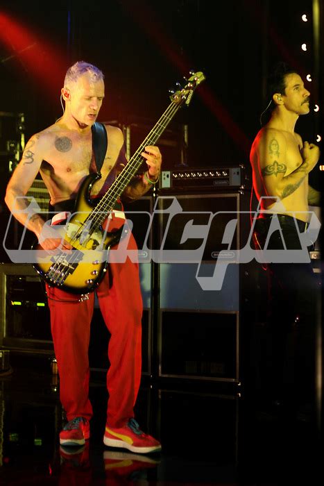 Red Hot Chili Peppers Iconicpix Music Archive