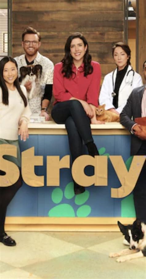 Strays Tv Series 2021 Full Cast And Crew Imdb