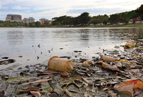 How to Measure Environmental Degradation Truthfully - Manward Press