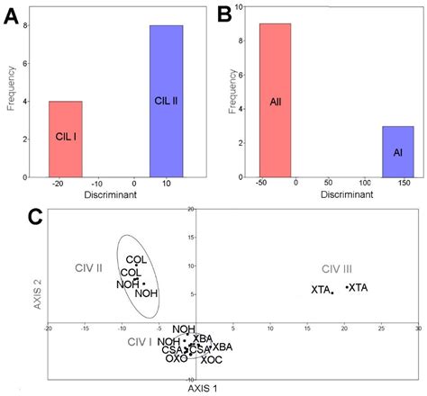 Diversity Free Full Text Subterranean Waters Of Yucatán Peninsula