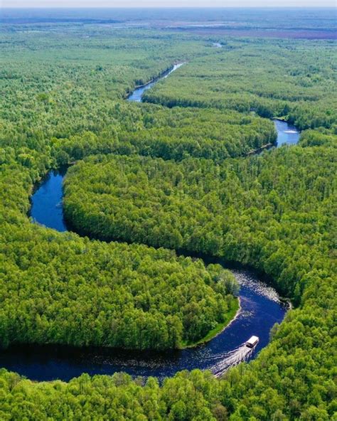 Дикие красоты нашей области | Станция "Кёнигсберг" | ВКонтакте