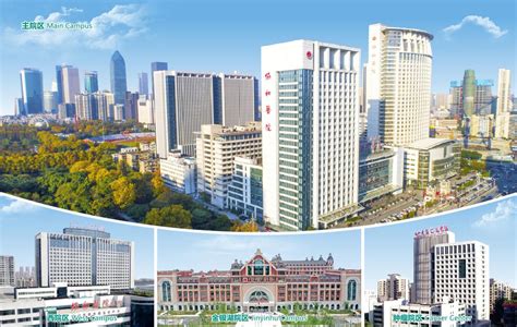 Contact Us Union Hospital Tongji Medical College Huazhong University