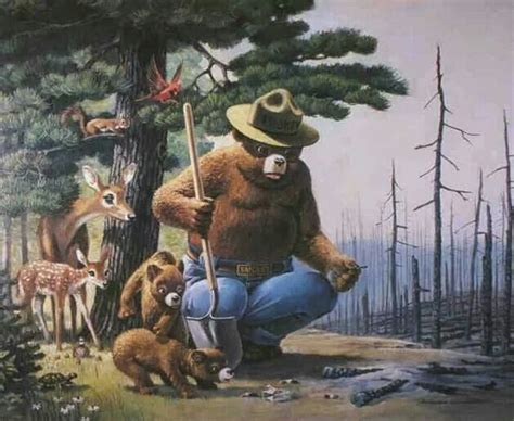 Only You Can Prevent Forest Fires Smokey The Bears Bear Art Smokey