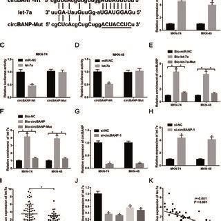 Circbanp Regulated Fzd Expression By Acting As A Sponge Of Let A A