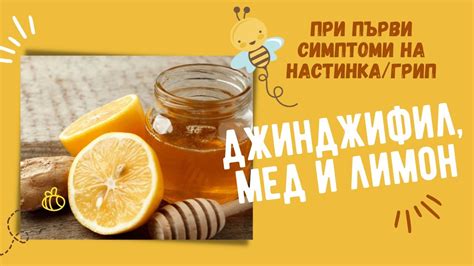 ДЖИНДЖИФИЛ, МЕД и ЛИМОН | ИМУНОСТИМУЛАТОР - YouTube