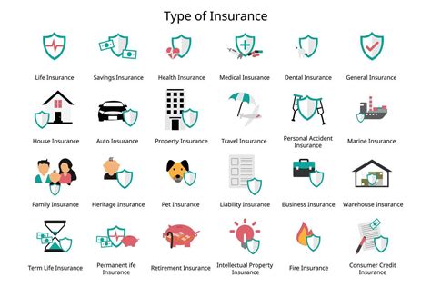 Diferentes Tipos De P Lizas De Seguro Y Cobertura Para Proporcionar