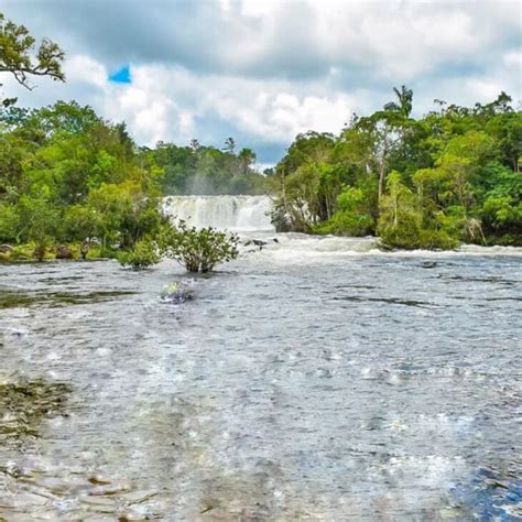 Campo Novo Do Parecis Onde Fica O Que Fazer Dicas E Informa Es