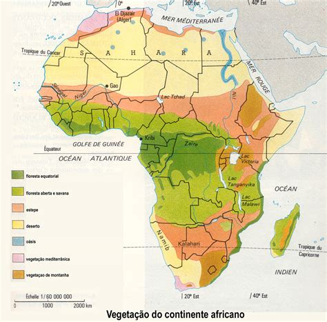 A África Planetagaia