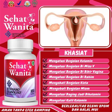 Jual Obat Herbal Untuk Benjolan Di Rahim Obat Kista Ovarium Kista