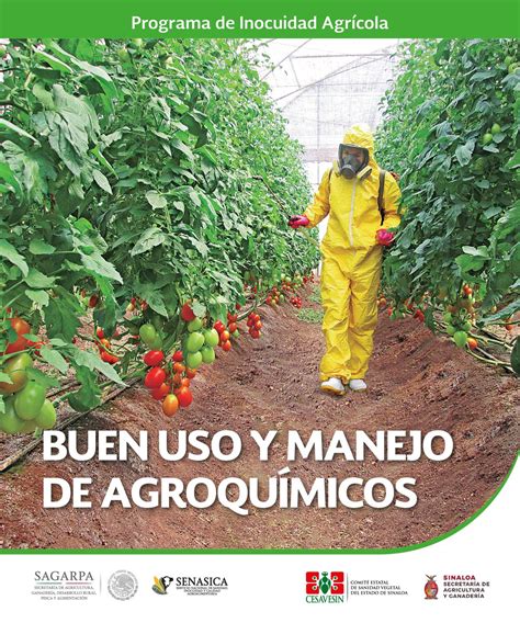 BUEN USO Y MANEJO DE AGROQUÍMICOS by CESAVESIN Issuu