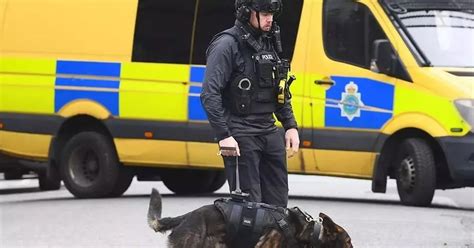 Nine Hour Stand Off With Armed Police Ends As Man Arrested After